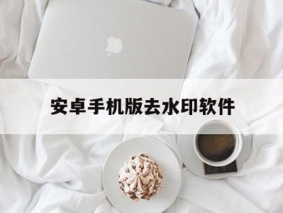 安卓手机版去水印软件(安卓手机去水印免费软件)