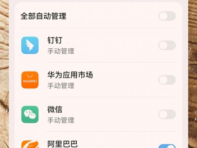 钉钉开发版手机(钉钉开发版手机能用吗)