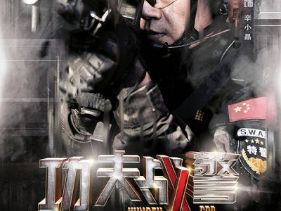 免费观看功夫警察手机版(免费观看功夫警察手机版视频)
