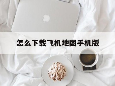 怎么下载飞机地图手机版(简单飞机怎么下载地图 视频)