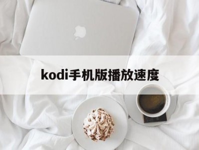 kodi手机版播放速度(安卓kodi设置倍速播放)