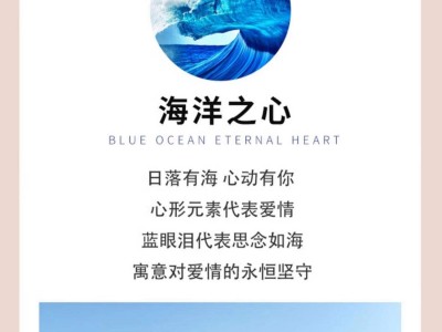 下载海洋之心手机版(海洋之心手机版怎么用)