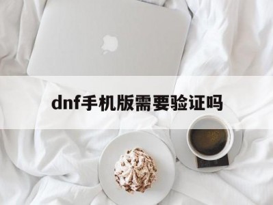 dnf手机版需要验证吗(dnf手机版需要验证吗安全吗)