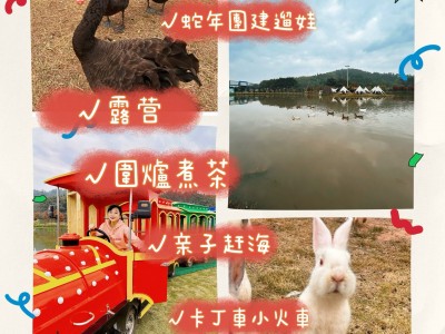 怎么玩奇妙农场手机版(奇妙农场无限金币版下载教程)