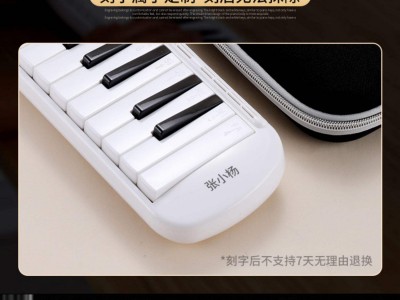 口风琴手机版(口风琴视频教程)