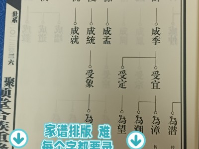 家谱制作软件手机版(家谱制作软件到底哪个最好用)
