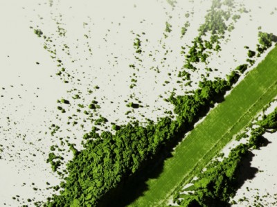 包含抹茶app手机版的词条