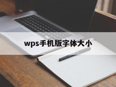 wps手机版字体大小(wps手机版字体大小怎么不出165)
