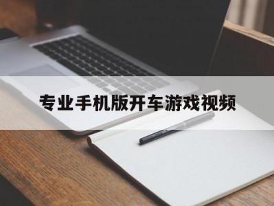 专业手机版开车游戏视频的简单介绍