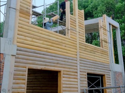 手机版如何建造木屋(手机版如何建造木屋教程)
