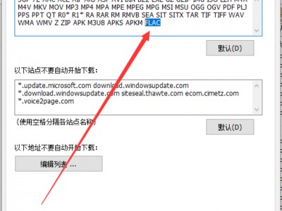 手机版idm怎样设置(手机版idm在哪里设置中文)