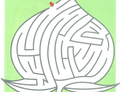 下载仿真迷宫手机版(下载仿真迷宫手机版安装)