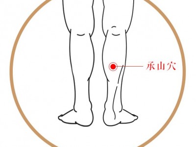 承山穴手机版的简单介绍