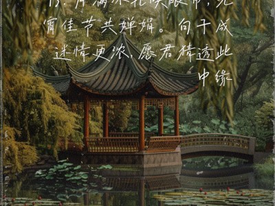 句子迷手机版官方(句子迷官网app下载)