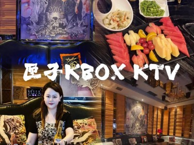 kbox有手机版的吗(kbox支持win10系统吗)