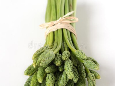 芦笋手机版不能剪辑的简单介绍