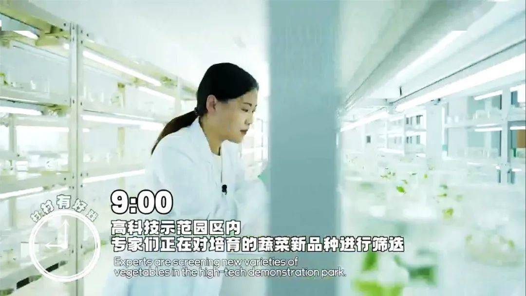 《寿光24小时》震撼发布！中英双语版城市宣传片-第9张图片-太平洋在线下载