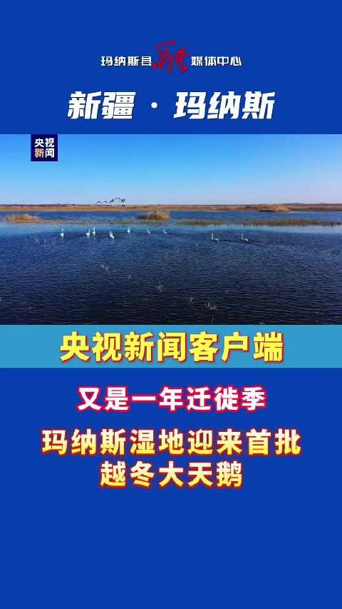 央视新闻客户端扫描央视新闻客户端视频下载-第1张图片-太平洋在线下载