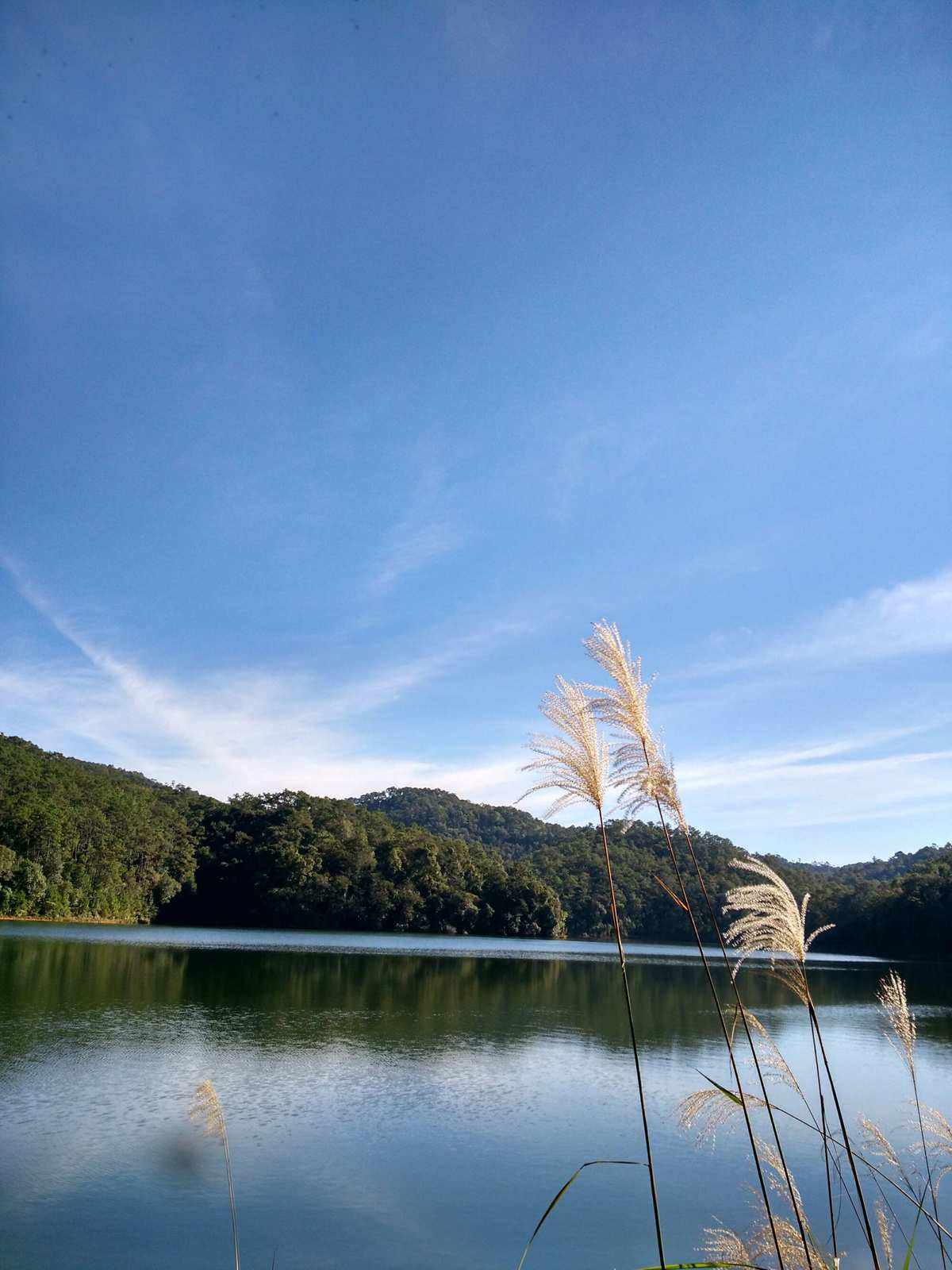 水云涧苹果版西区花园水云涧