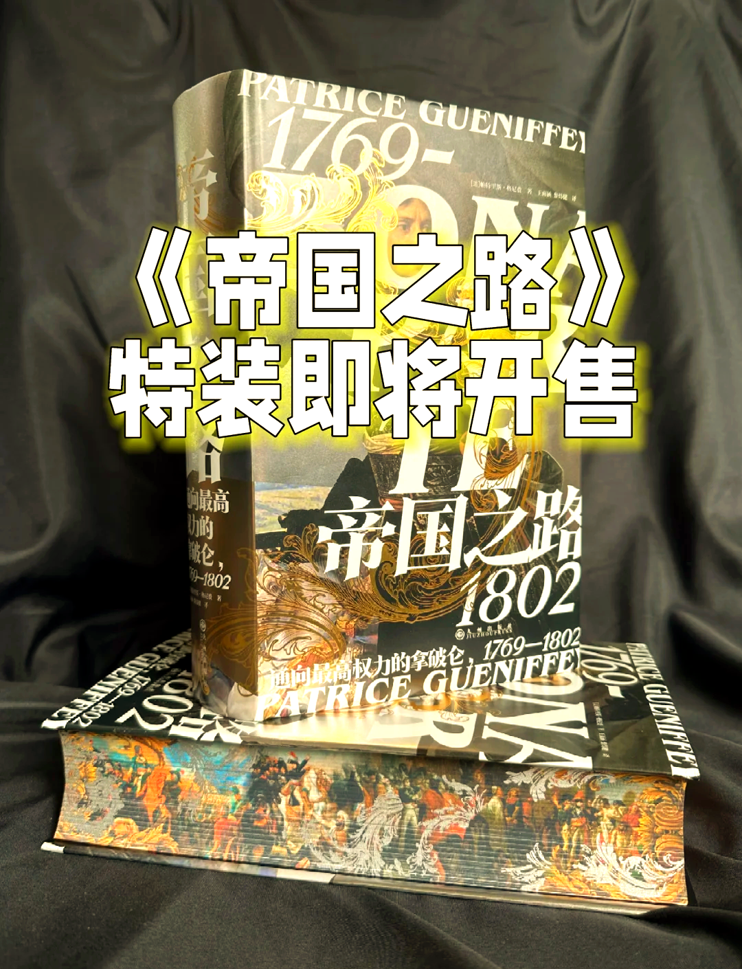 手机版拿破仑策略游戏(拿破仑的游戏有手机版吗)