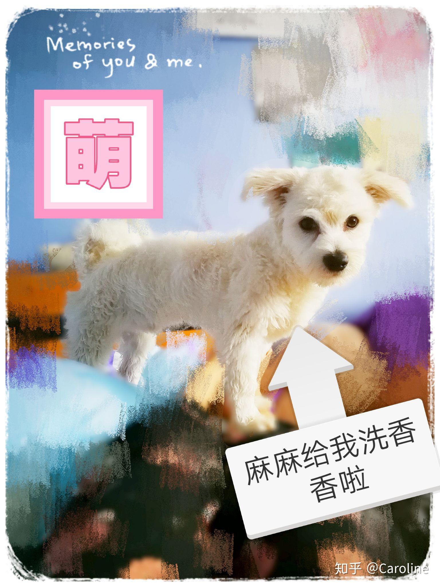 啊吉手机版下载(下载阿吉泰手机版)