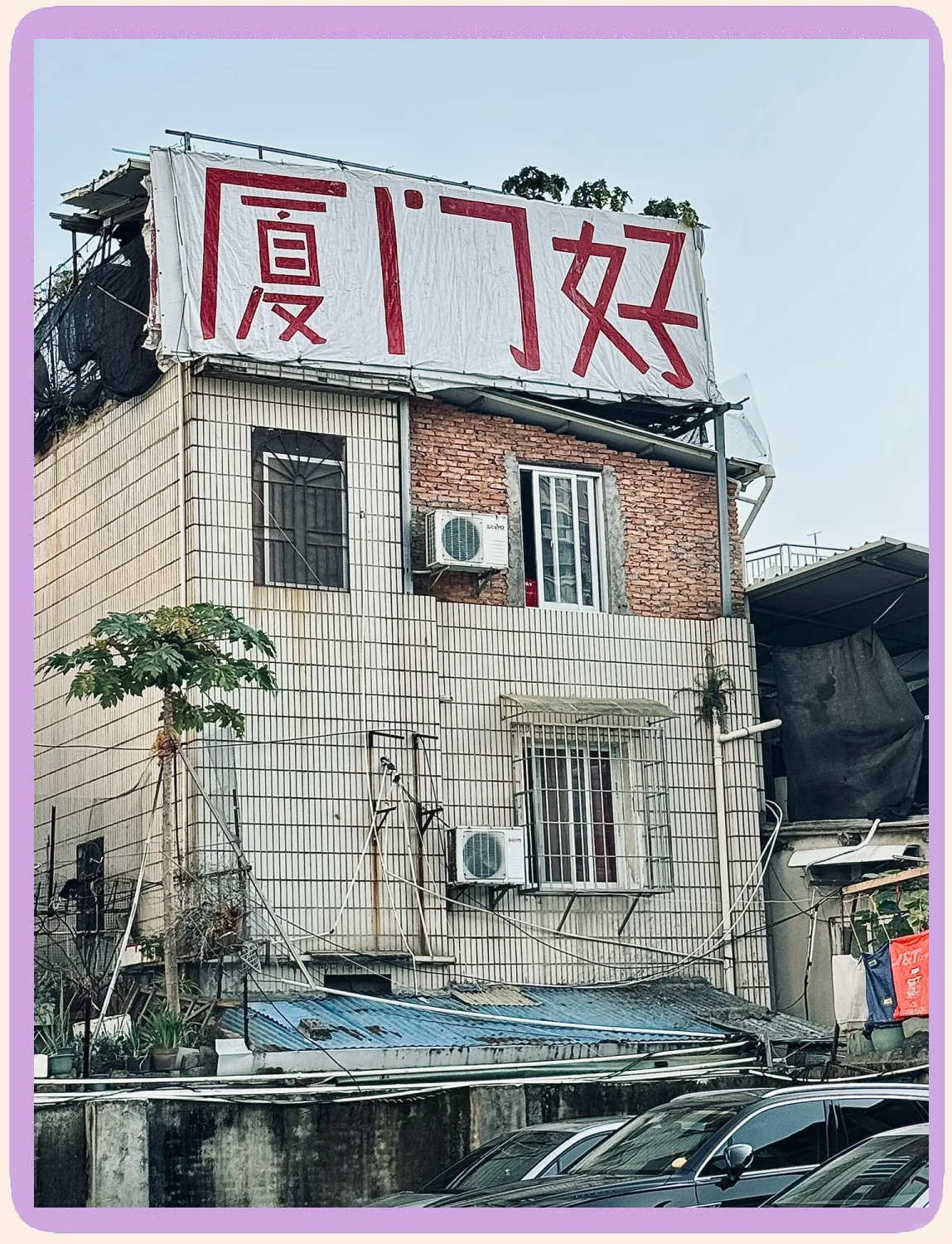 厦门福房网手机版(厦门house房产网)