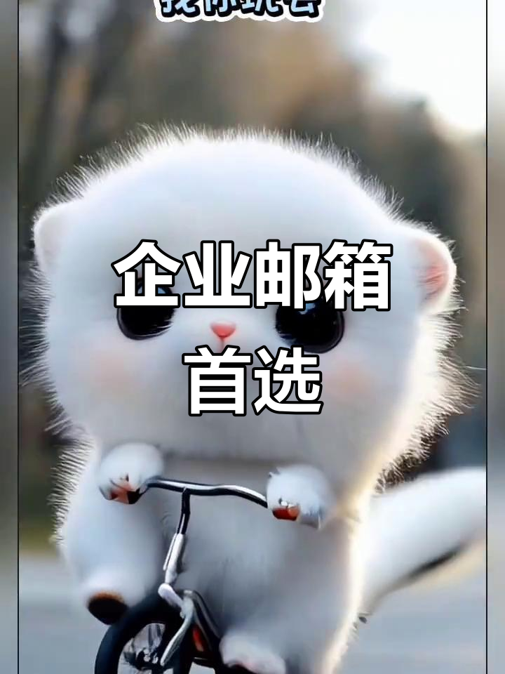 网易邮箱手机版官网(网易邮箱官网app下载)