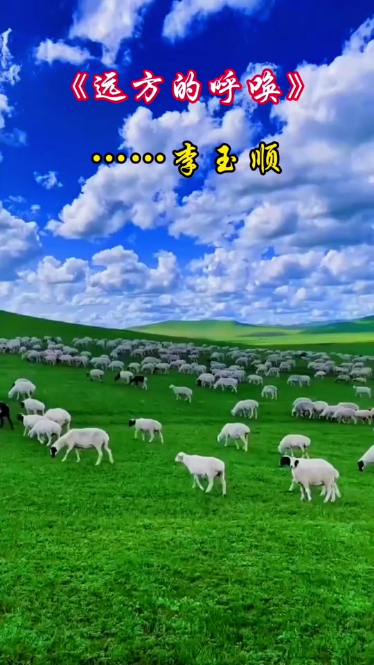 手机版旷野呼声(旷野呼声手机版下载安装)