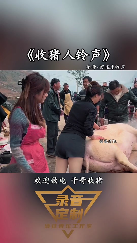 挑战老公手机铃声版(挑战老公手机铃声版下载)