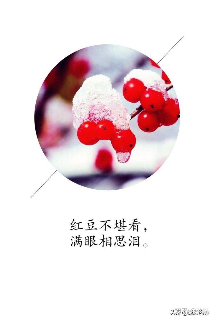 满眼相思泪手机版下载的简单介绍