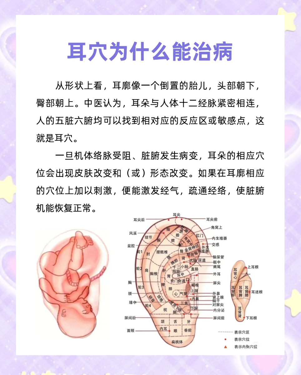 耳部经络全图手机版(耳朵经络图对应的器官)