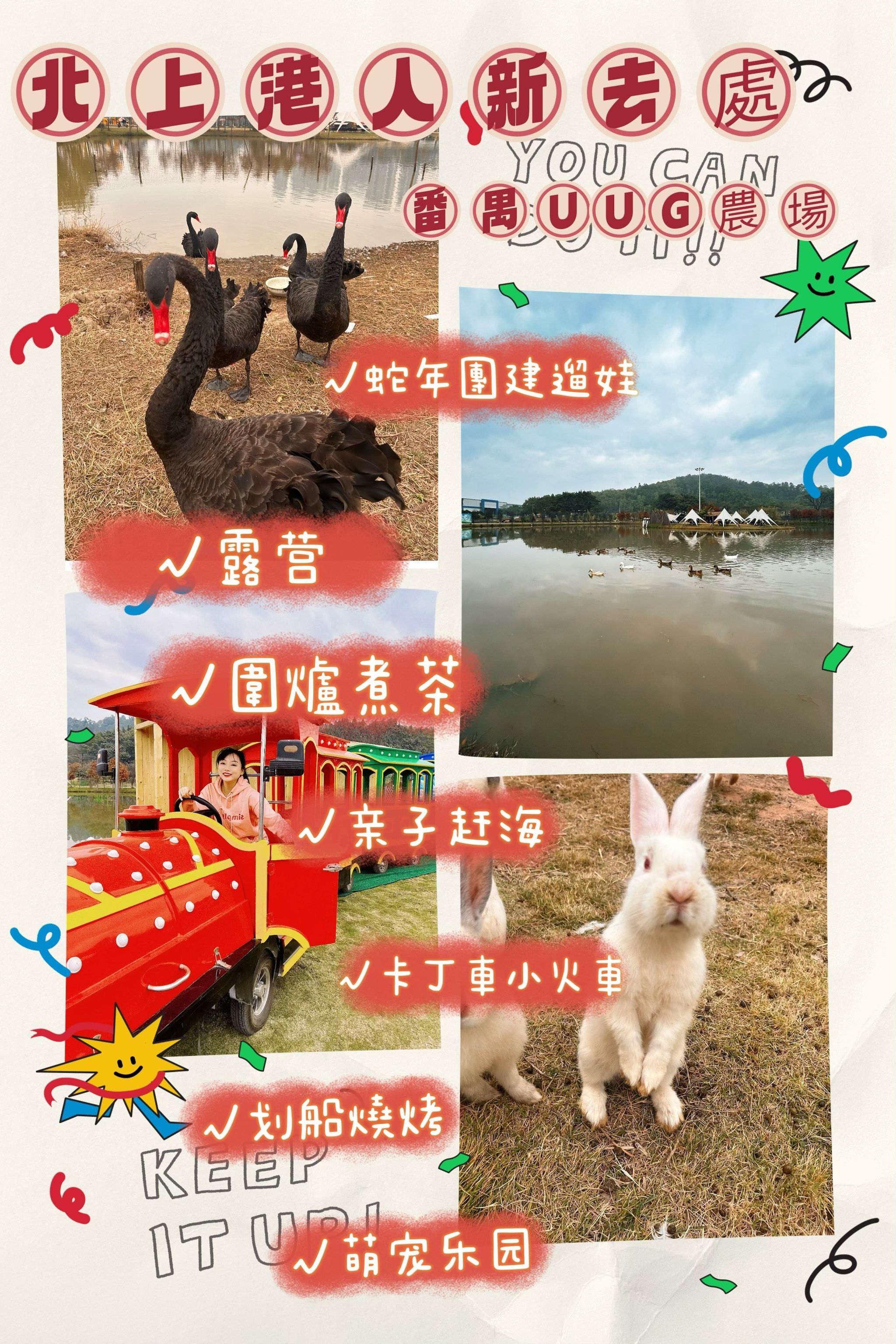 怎么玩奇妙农场手机版(奇妙农场无限金币版下载教程)