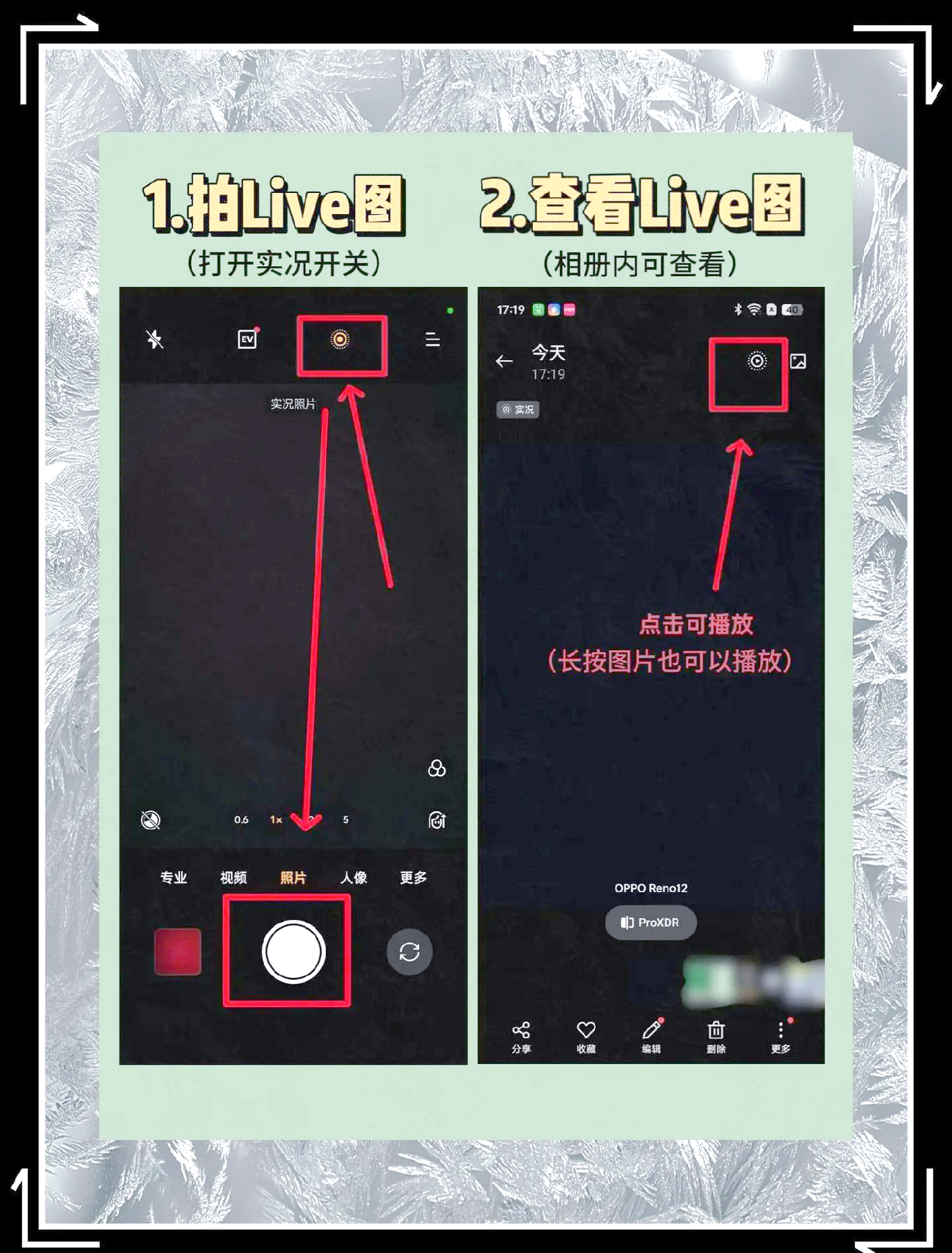 popp怎么下载手机版的简单介绍