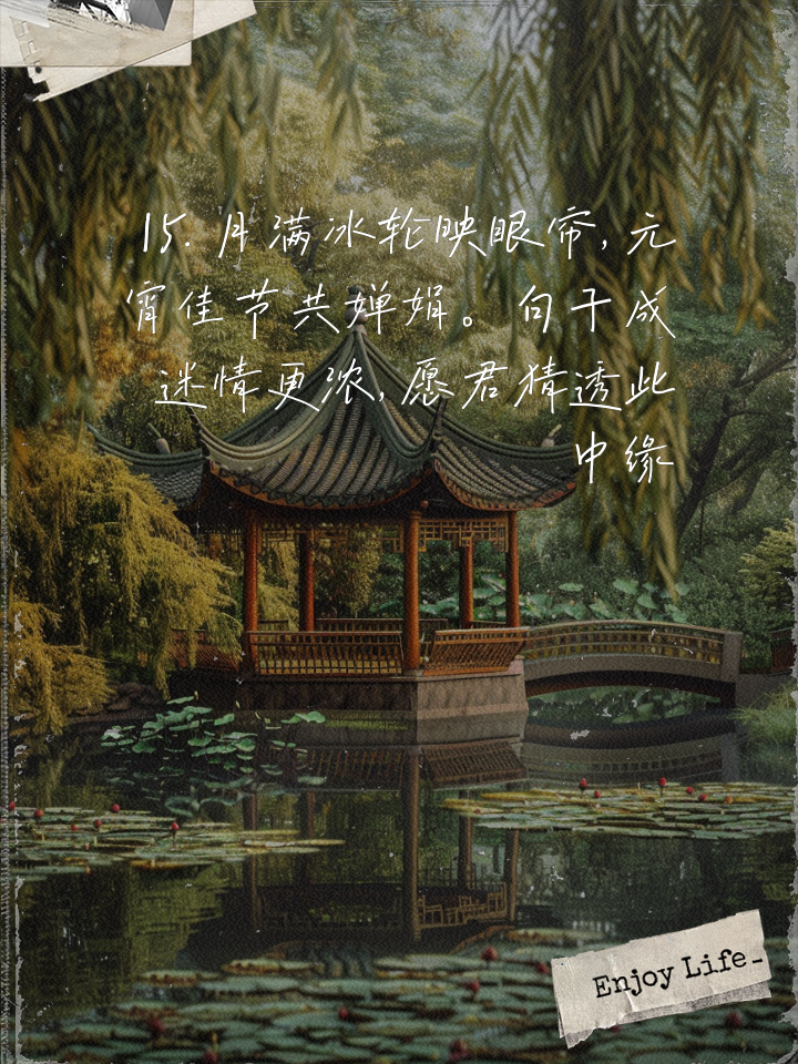 句子迷手机版官方(句子迷官网app下载)