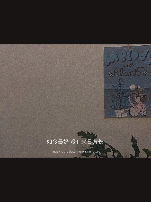 句子迷手机版官方(句子迷官网app下载)