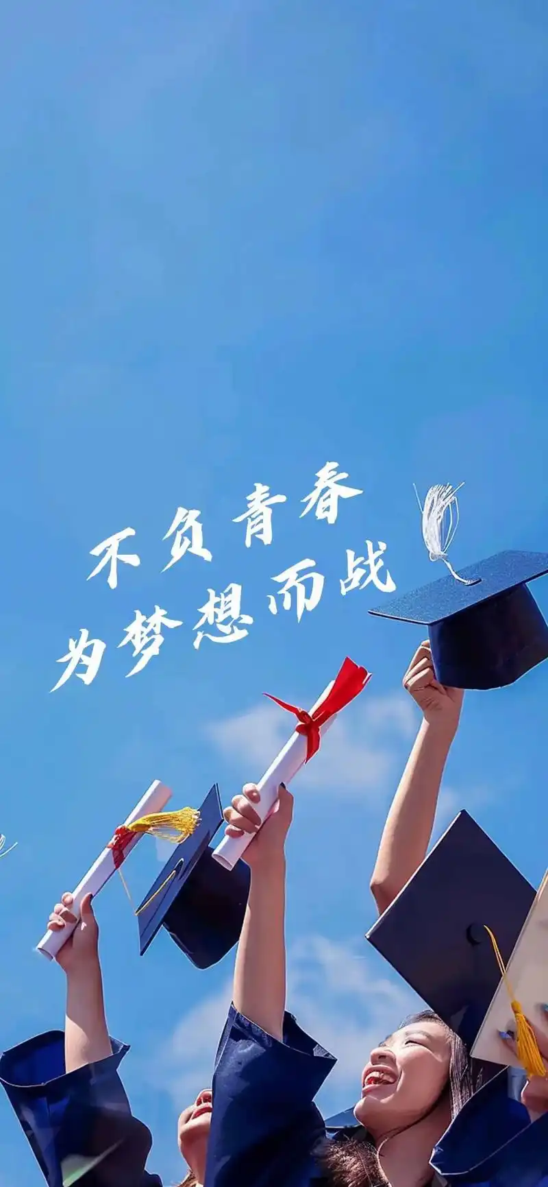 阳光高考手机版(阳光高考手机版怎么注册)