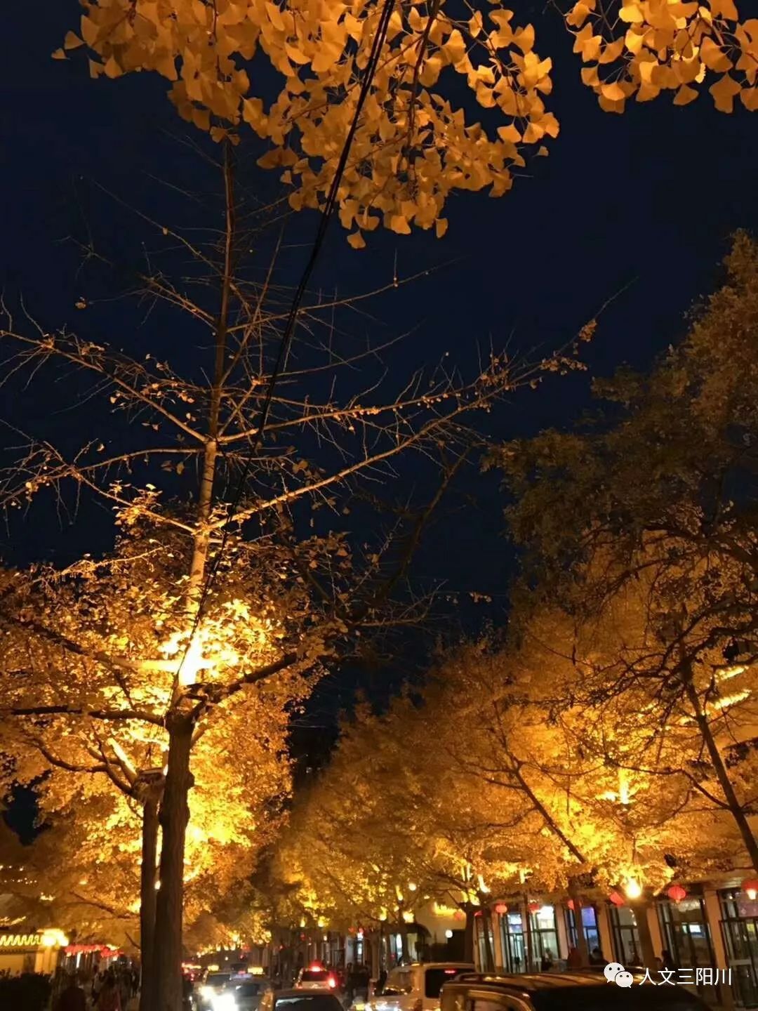 暮色正浓晋江手机版(暮色正浓的情节跌宕起伏)