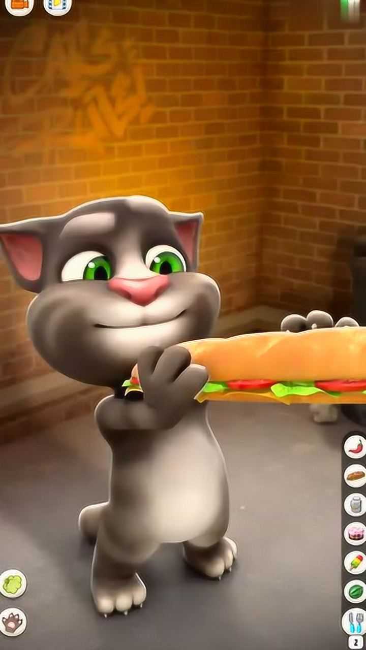 会说话的汤姆猫4手机版(会说话的汤姆猫第四季下载)