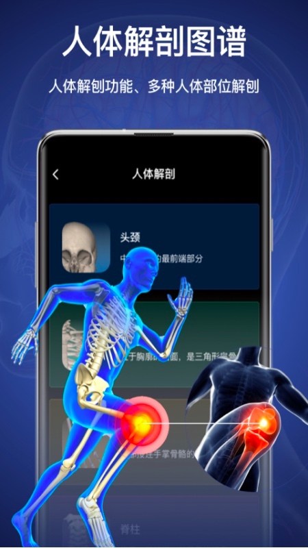 音乐解剖软件下载手机版(音乐解剖软件下载手机版免费)