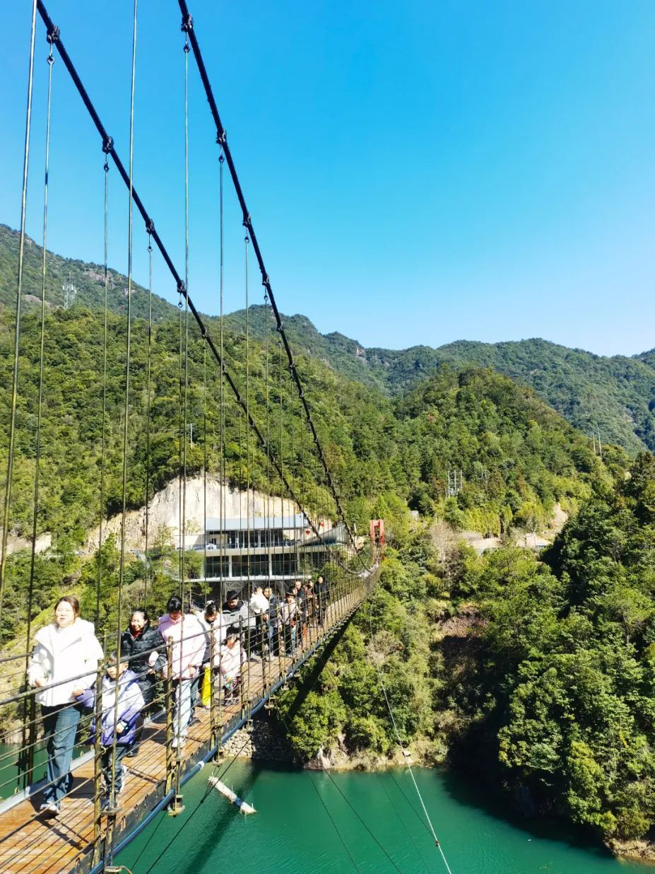 文成新闻网手机版(文成新闻头条最新消息)