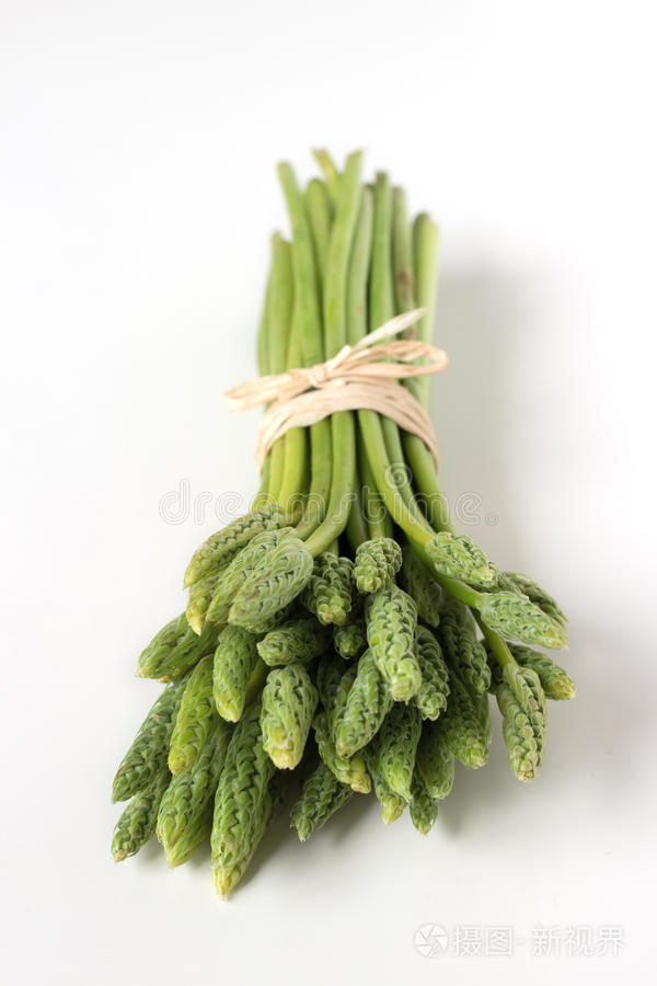 芦笋手机版不能剪辑的简单介绍