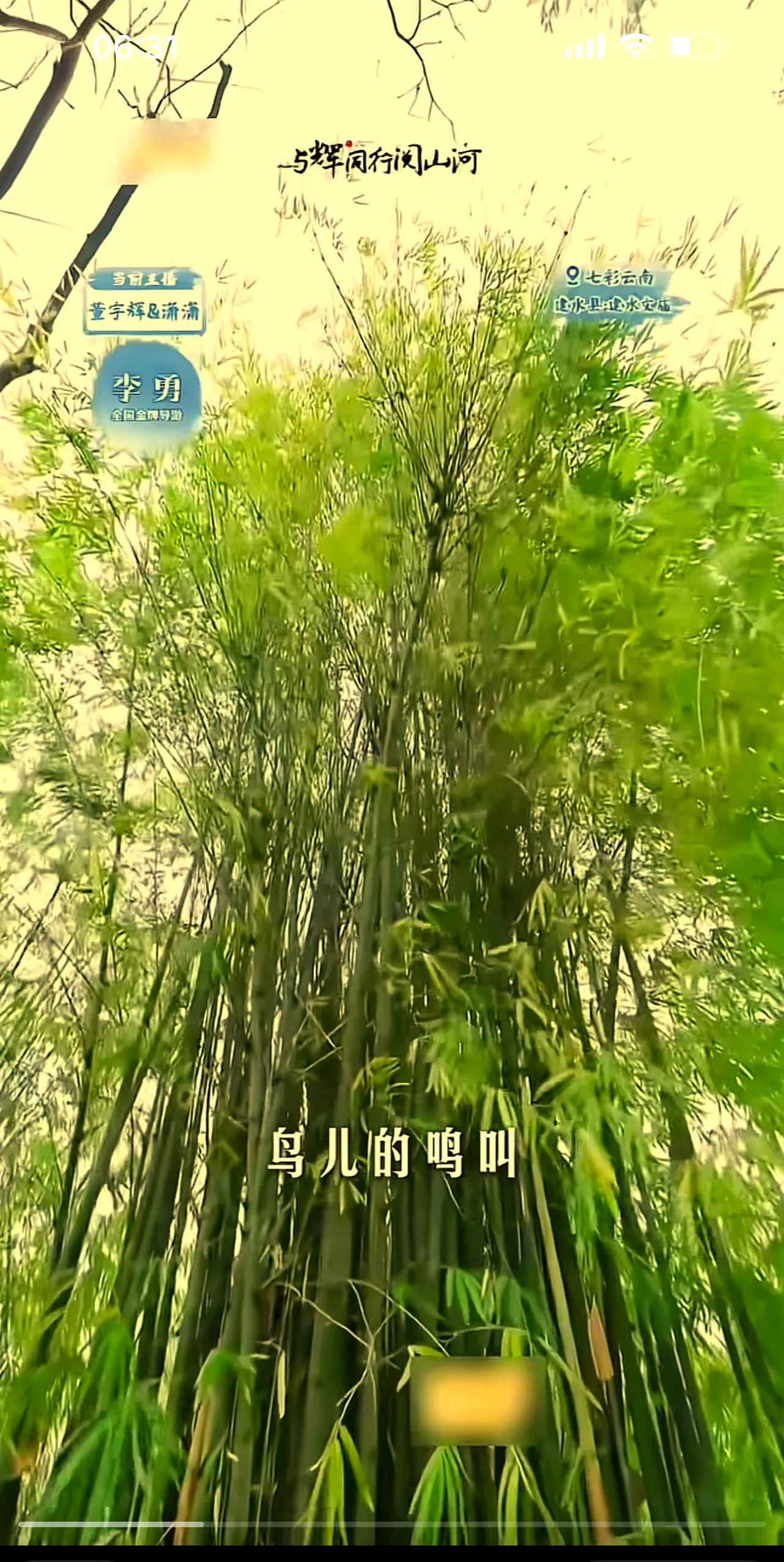 播播手机版下载(播播科技是什么软件)