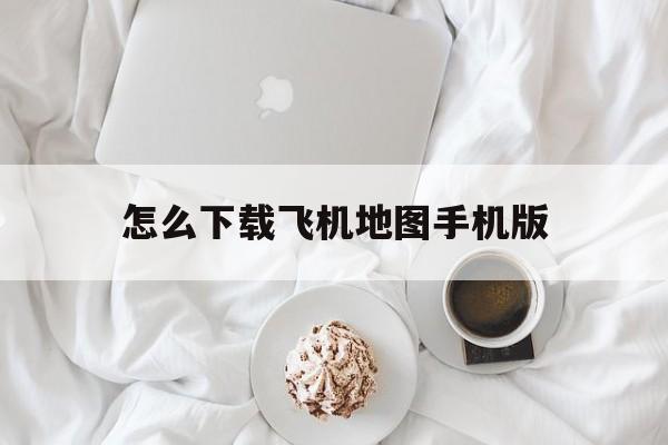 怎么下载飞机地图手机版(简单飞机怎么下载地图 视频)