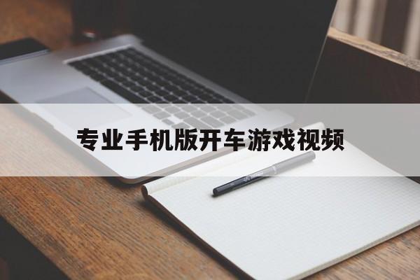 专业手机版开车游戏视频的简单介绍